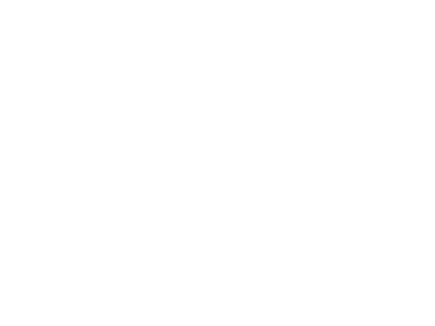 2016 Seattle Film Festival | Grand Jury Prize