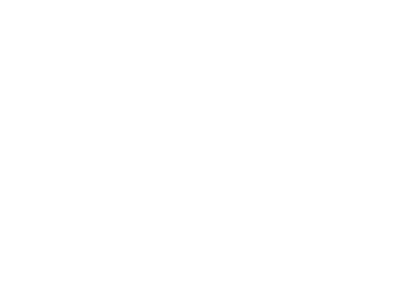 2011 Victor Award Winner: International Performing Arts for Youth Showcase In Tampa, Florida: Best Show