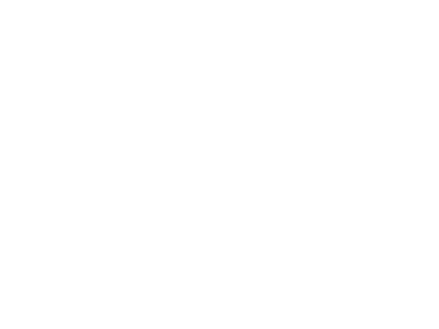 Ruby Award Winner: Best Work: Pinocchio